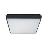 ANTHRACITE PLAFO 20W WW IP54 230V