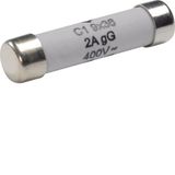 Cylinder Fuses Typ C1 9x36mm gG 2A 400V AC 100kA