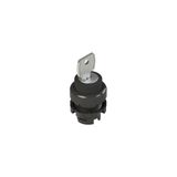 Key selector, 2 positions black without marking