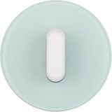 Cover plate toggle rotary switch/spring-return p-b, R.classic, glass,