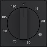 Central plate for mechanical time switch 0-120 min., A.x/C.x, black material