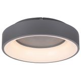ADELINE LED 24W 3000-6000K 3928
