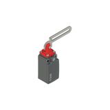 Safety switch with slotted hole lever