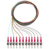 Pigtails, 12xST, OM4, 2m 