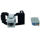 TOOLLESS LINE Jack RJ45 unshielded, Cat.5e (SFA)