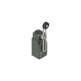 Position switch with adjustable lever and roller