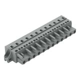1-conductor female connector CAGE CLAMP® 2.5 mm² gray