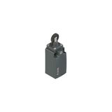 Position switch with roller and stainless steel piston plunger