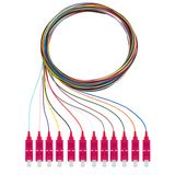 Pigtails, 12xSC, OM4, 2m 