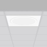 Toledo Flat, 30 W, 3600 lm, 840, white, DALI Lay-in luminaires, L 622 
