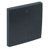 ROCKER F/TWO-POLE SWITCH GRAY