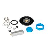 Spare part Service kit EV220 20 FKM