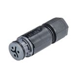 CONNECTOR RST08I3/2S B1 ZR1SHL SG