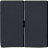 Rocker 2gang, Q.1/Q.3, ant. velvety, lacq.