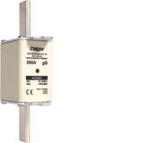 NH fuse NH2 gG 690V 200A with twin indicator and live gripping lug