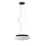 LED-1L61C03ZL11/462/L100 C 4000