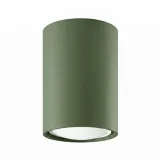 Ceiling lamp LAGOS 10 olive green