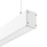 LINEDO single IP54, 31 W, 4850 lm, 840, white, DALI Pendant luminaires