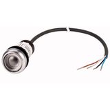 C22-DR-X-K01-P62 Pushbutton, classic, flat, maintained, 1 N/C, cable (black) with non-terminated end, 4 pole, 1 m