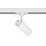 WHITE COB 10W WW TRACK SPOT 230V