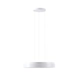 LED-1L20C10ZLE11/PC24/L100 3000