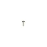 Stainless steel security screws