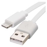 USB cable 2.0 A/Male - i16P/Male 1m white