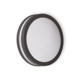 Outdoor luminaire AVN260GH IP54 60W E27 PC O GH