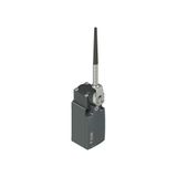Position switch, coiled spring lever with plastic point