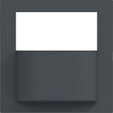 Motion detector cover, A.x/C.x, anthracite
