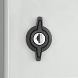 MINIPOL Locking handle with small cylinder