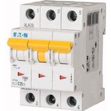 PL7-C25/3 Miniature circuit breaker (MCB), 25 A, 3p, characteristic: C