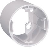 Backbox for Surface BESA detectors