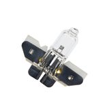 PY16-1.25 6V 25W 100h 510lm