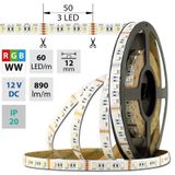 LED strip SMD5050 RGB + WW, 60LED/m, 19,2W/m, DC 12V, 890lm/m, IP20, 12mm, 50m