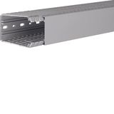 Panel trunking BA7 slotted 100×60 grey