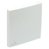 ROCKER F/SWITCHES W/BELL SYMBOL ICE