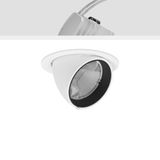GOLAS maxi, 33 W, 1750 lm, fresh meat, white, on/off Recessed projecto