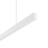 Less is more 27, 51 W, 4000 lm, 840, white, DALI Pendant luminaires, L