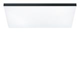 LF3 A 5000-940 Q EVG BK - Surface mounted luminaire