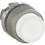 P9MPLBSD Pushbutton