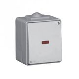 TWO-WAY SWITCH WITH PILOT LAMP GREY