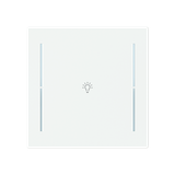 LFB/A.1.70.1-44M Cover plate with legend with Symbol "light" studio white matt - Trevion®