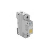 PILOT LAMP WITH DIFFUSER ORANGE