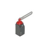 Safety switch with slotted hole lever