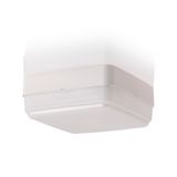 Universal luminaire AVR72 IP44 LED 8W/830 E PC O