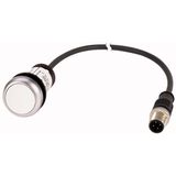 C22-D-W-K10-P3 Pushbutton, Flat, momentary, 1 N/O, Cable (black) with M12A plug, 4 pole, 0.5 m, White, Blank, Bezel: titanium