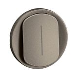 ROCKER LUMINOUS INTERMEDIATE SWITCH TITANIUM