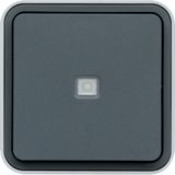 CUBYKO LIGHT WALL BUTTON IP55 GRAY