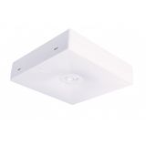 STARLET QUAD SCH 350 NM 2H AT